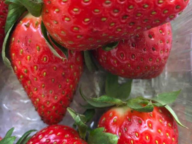 Strawberry (fruit)  by NathaliaB | Uploaded by: NathaliaB