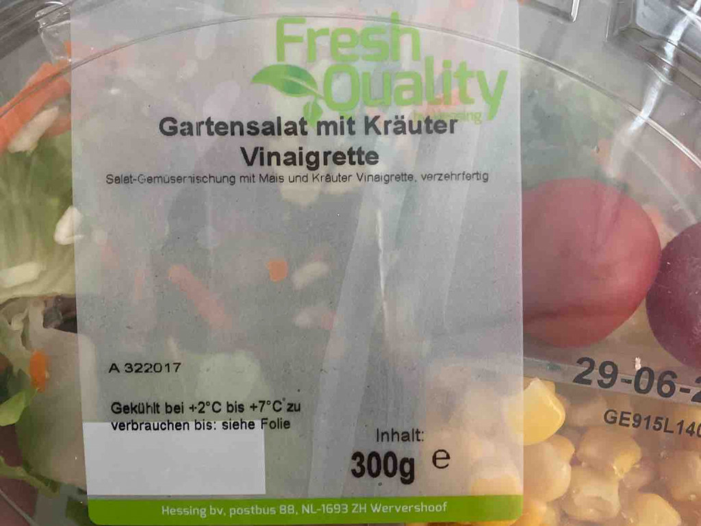 Gartensalat mit Kräuter Vinaigrette von Bouyahyi | Hochgeladen von: Bouyahyi