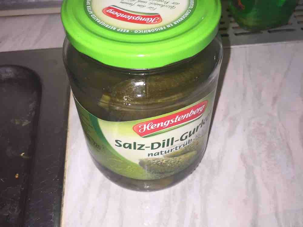 Salz-Dill-Gurken von tjacelinaa | Hochgeladen von: tjacelinaa