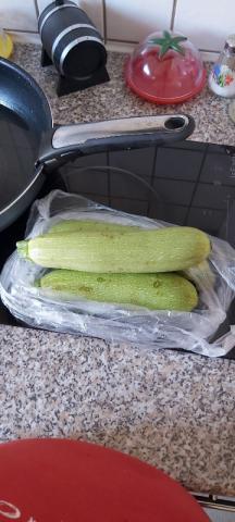 Zucchini weiß von van4et | Hochgeladen von: van4et