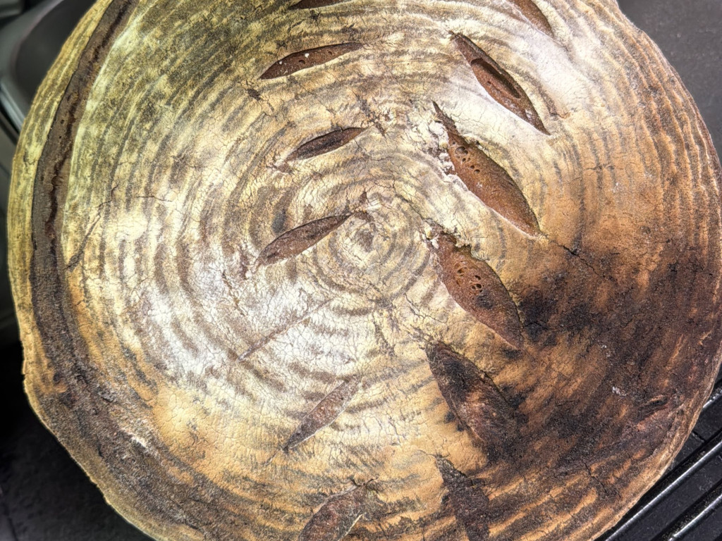 Hochgeladen von: Dominikk18