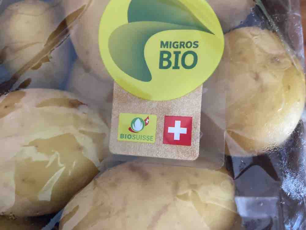 Patatli Kartoffel, festkochend von Scout | Hochgeladen von: Scout