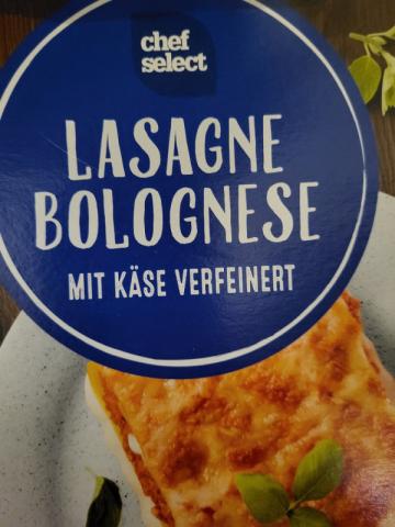 Lasagne Bolognese, mit Käse überbacken von BennoW | Hochgeladen von: BennoW