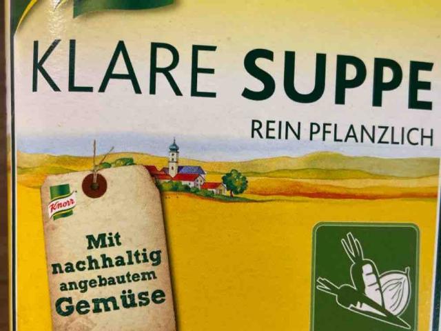 Klare Suppe, rein pflanzlich von larissaberchtold | Hochgeladen von: larissaberchtold