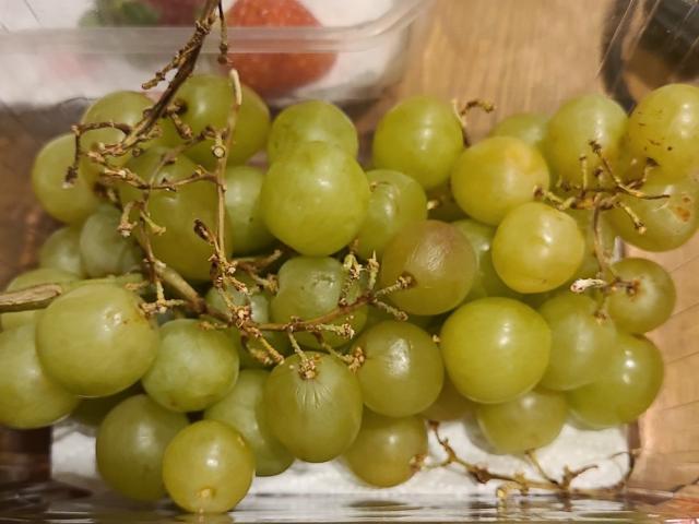 Hochgeladen von: Runa Hemmer