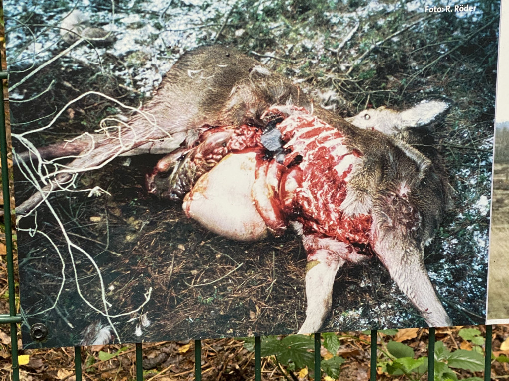 Hochgeladen von: FieteSta