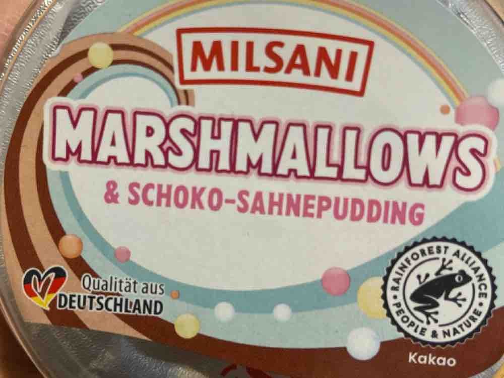 Schoko-Sahne-Pudding, Marshmallows von stax | Hochgeladen von: stax