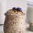 Overhight Oats Barilits von Ikarus19 | Hochgeladen von: Ikarus19