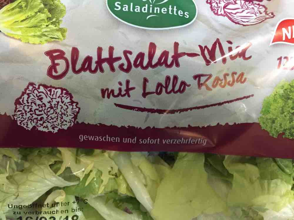 Blattsalat-Mix, mit Lollo Rossa von tazrael | Hochgeladen von: tazrael