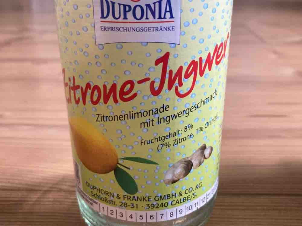 Zitrone-Ingwer  Limonade von susisnow | Hochgeladen von: susisnow