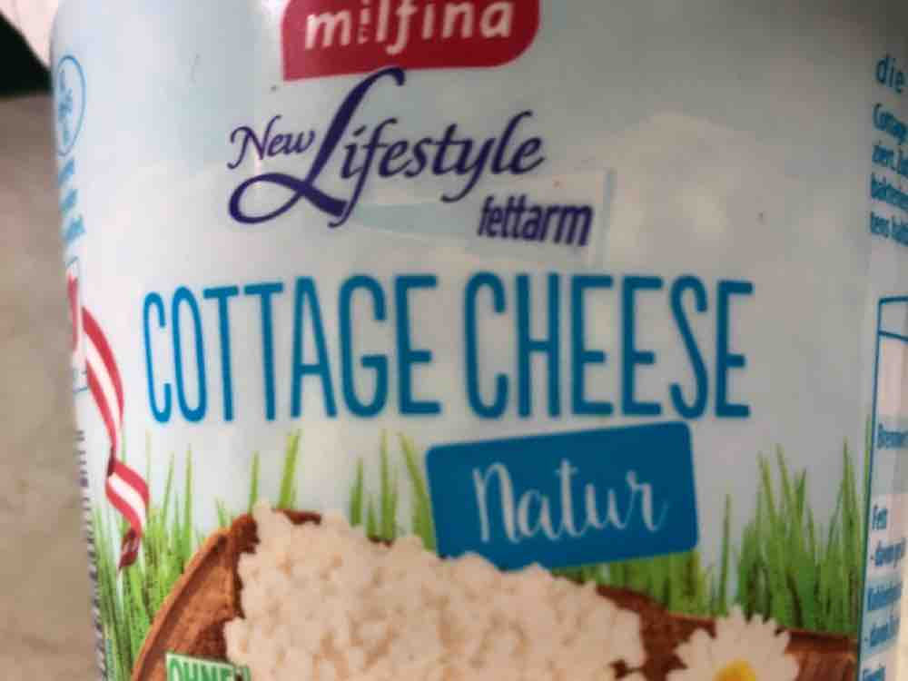 Cottage Cheese Natur (Light) von annanimmtab94 | Hochgeladen von: annanimmtab94