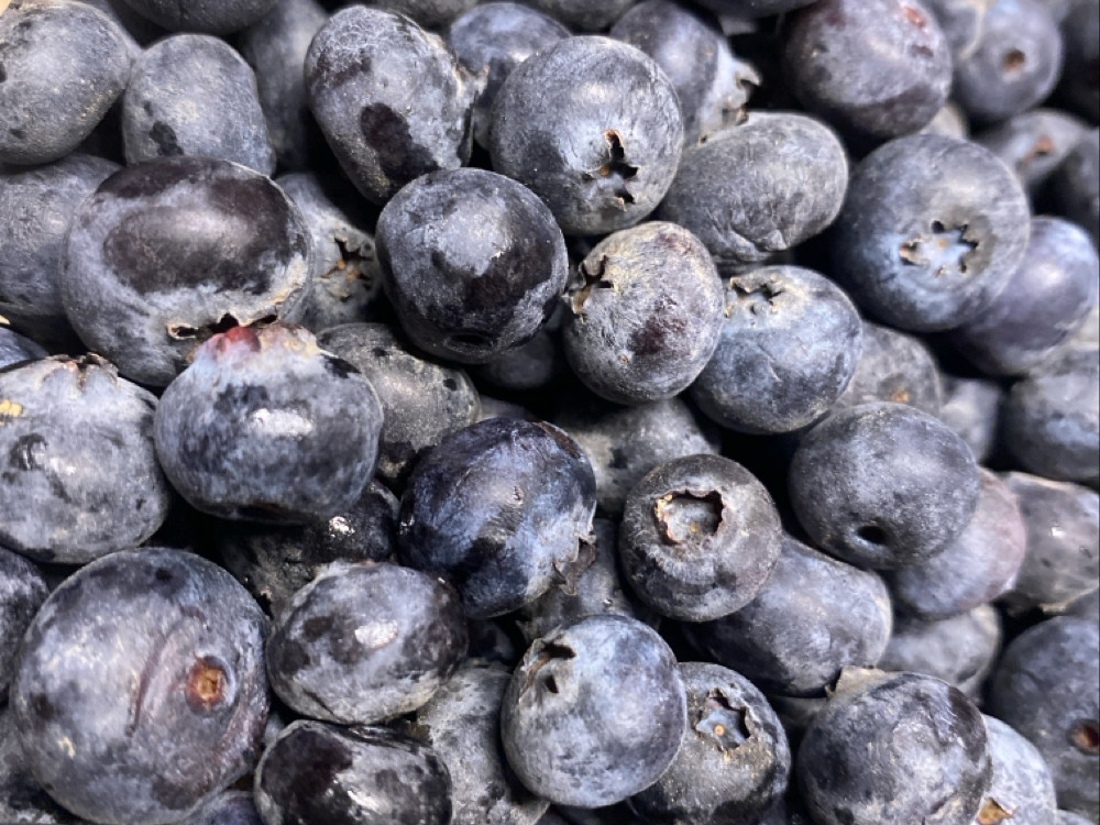 Blaubeeren, Netto von MarkimusHeftikus | Hochgeladen von: MarkimusHeftikus