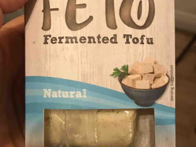 Feto Fermeted Tofu, natural organic vegan by caughty | Uploaded by: caughty