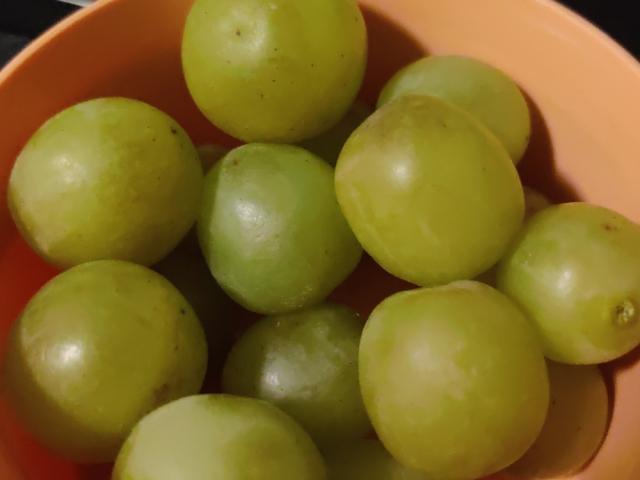 Hochgeladen von: sabinesaar877