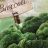 Brokkoli von Bayerbat | Hochgeladen von: Bayerbat