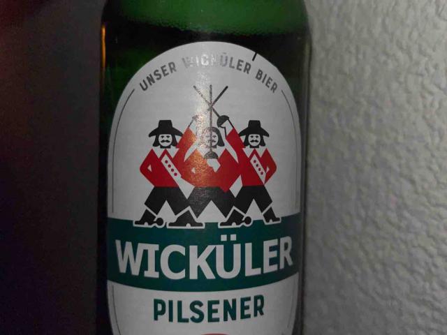 Wicküler, Pilsener von RONZN | Hochgeladen von: RONZN