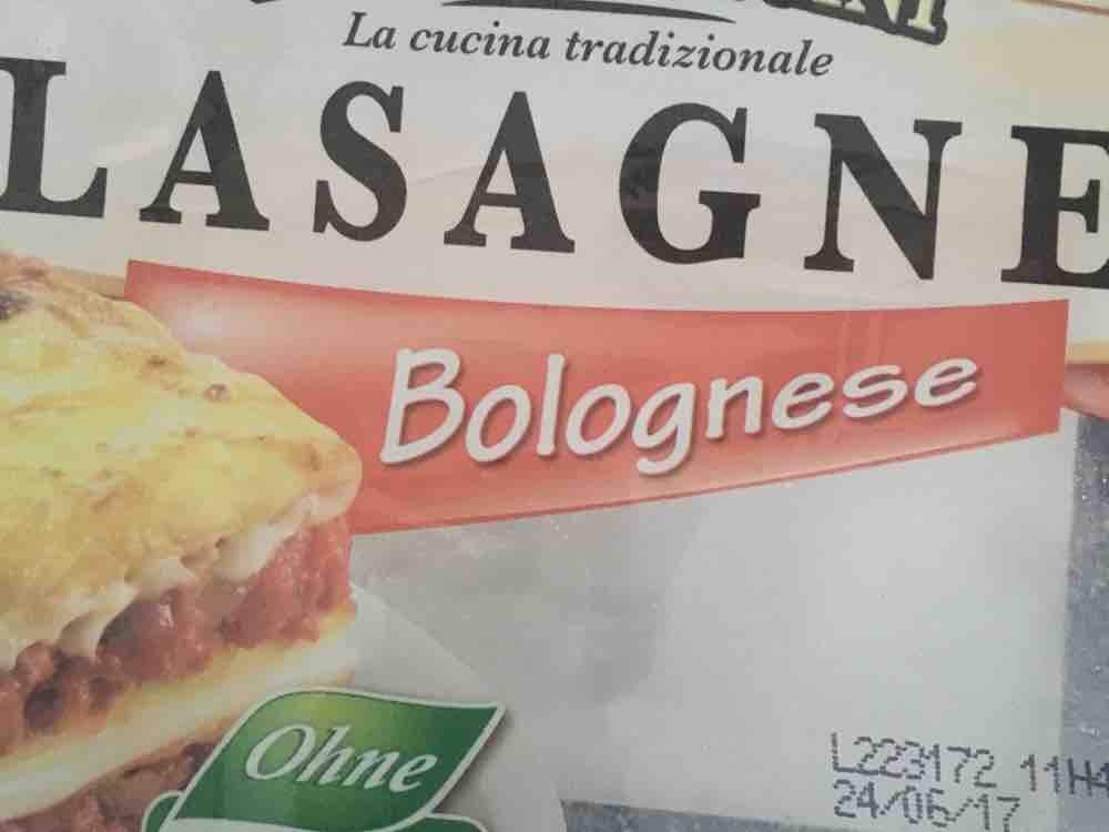 Lasagne Bolognese von c3uhkio | Hochgeladen von: c3uhkio