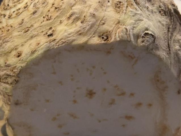 Hochgeladen von: TinaTet