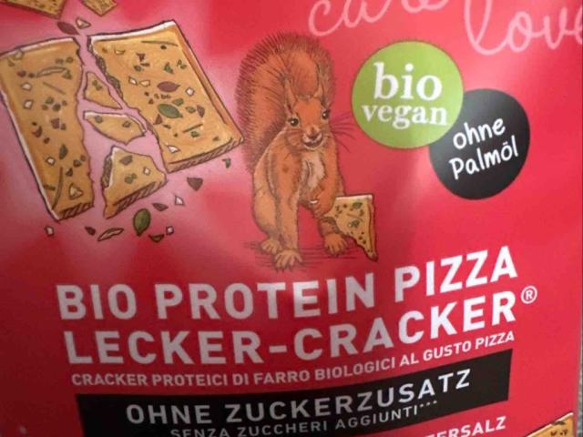 Bio Protein Pizza Lecker-Cracker von tobo24 | Hochgeladen von: tobo24