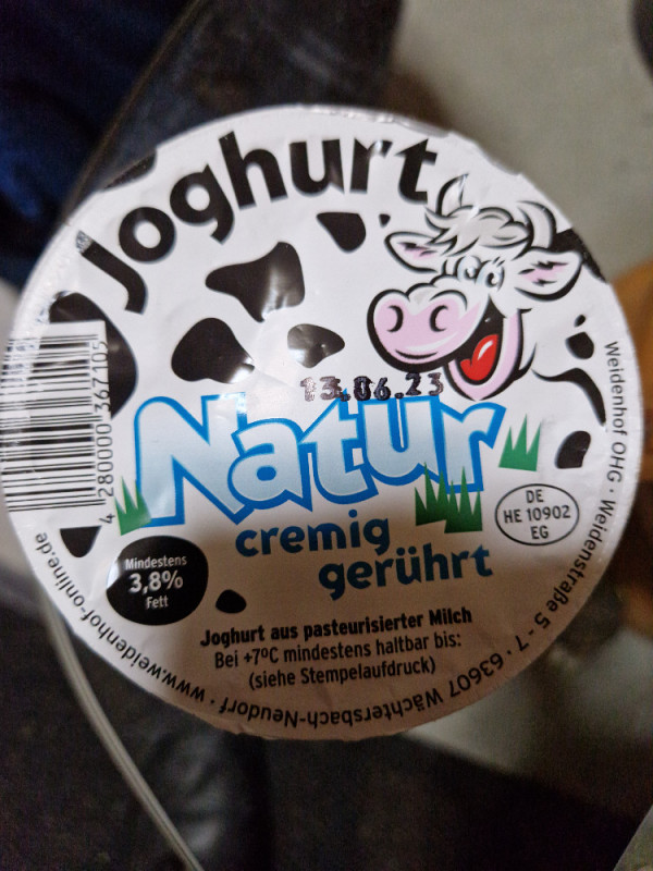 Joghurt  Natur cremig gerührt, Milch  3,8% Fett von michaelffm | Hochgeladen von: michaelffm