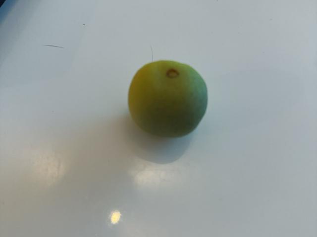 Hochgeladen von: Angiilein Hochgeladen von: Angiilein