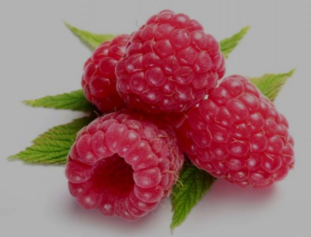 Himbeeren, frisch von Tribi | Hochgeladen von: Tribi