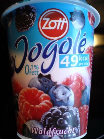Jogolé 0,1% Fett , Waldfrucht | Hochgeladen von: huhn2