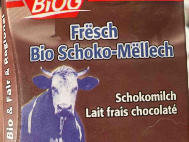 Bio Schoko Mellech von Gekecht | Hochgeladen von: Gekecht