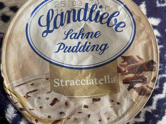 Landliebe Sahnepudding, Stracciatella von KrawallKueken | Hochgeladen von: KrawallKueken