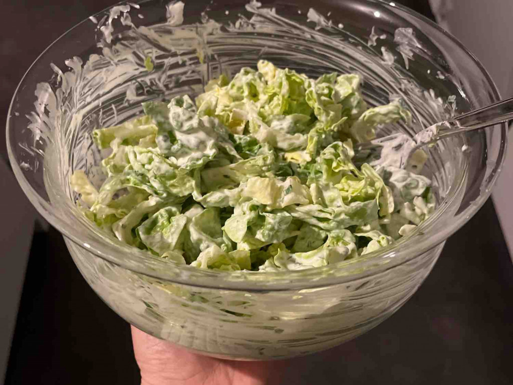Salat, 100g Sahne, EL Schmand von Rimowa | Hochgeladen von: Rimowa