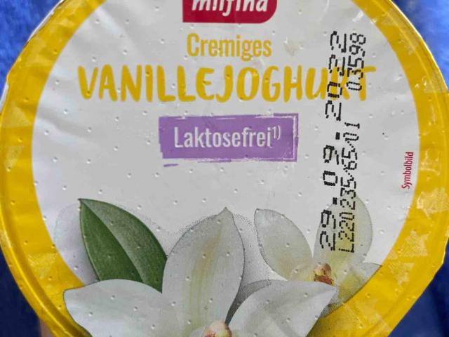 cremiges Vanillejoghurt laktosefrei von Stefanie321 | Hochgeladen von: Stefanie321