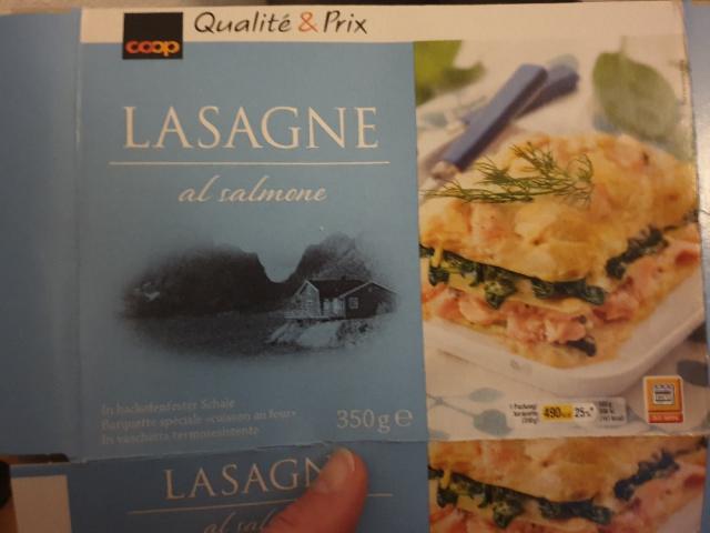 Lasagne, al salmone von Liloo | Hochgeladen von: Liloo