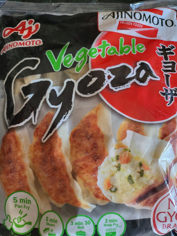 Vegetable Gyoza by Jimmi23 | Hochgeladen von: Jimmi23