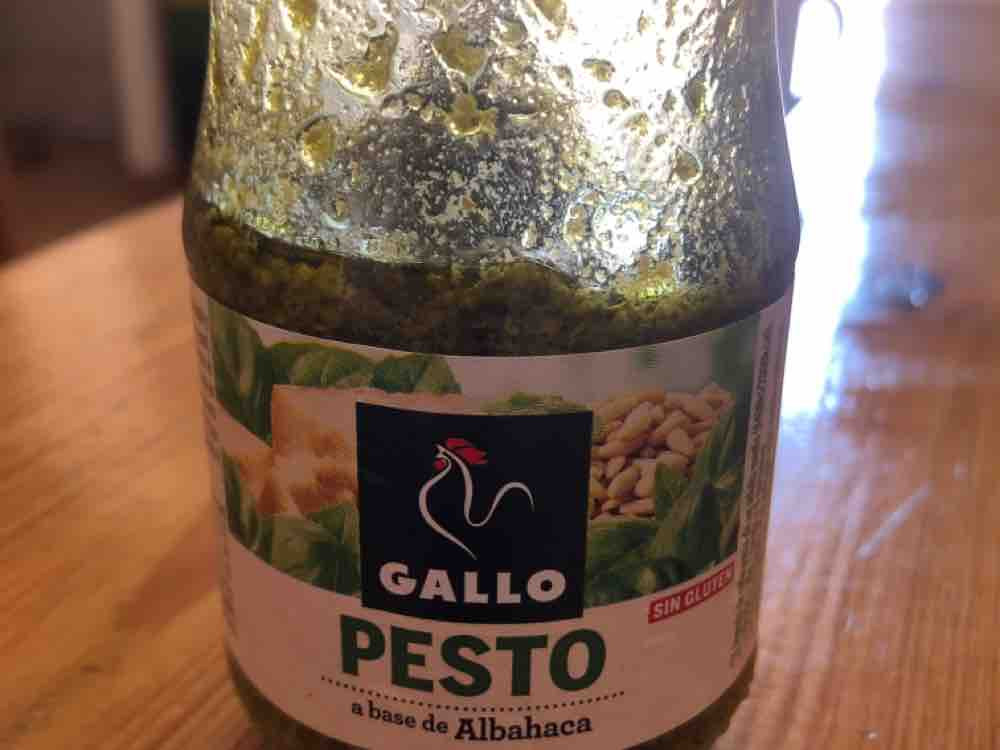 Pesto, a base de Albahaca von leonhennig | Hochgeladen von: leonhennig
