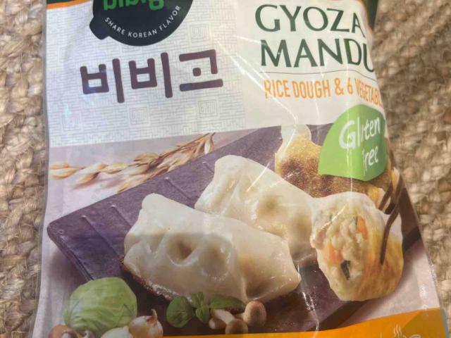 Gyoza Mandu von Villy | Hochgeladen von: Villy