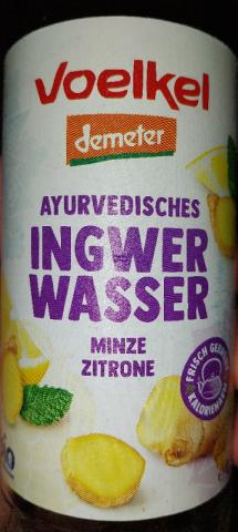 Ingwer Wasser, Minze Zitrone von BastiLoveGuyLoveSam | Hochgeladen von: BastiLoveGuyLoveSam