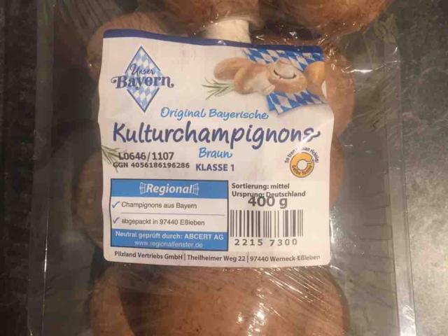 Kulturchampignons, Braun von ralphdgf1987940 | Hochgeladen von: ralphdgf1987940