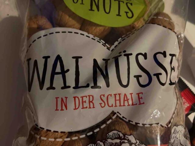 Wallnüsse in der Schale von luisgrote | Hochgeladen von: luisgrote