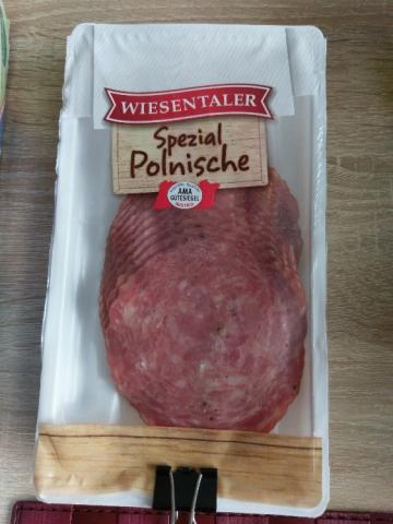 spezial polnische gebraten  von nittre574 | Hochgeladen von: nittre574