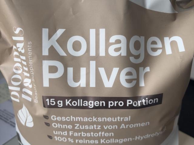 Hochgeladen von: sayouri231 Hochgeladen von: sayouri231