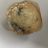 American Muffin, Blaubeere | Hochgeladen von: LutzR