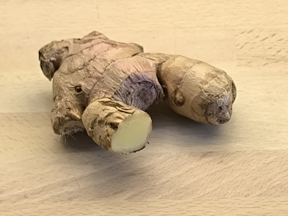 Hochgeladen von: Corculumsalticus