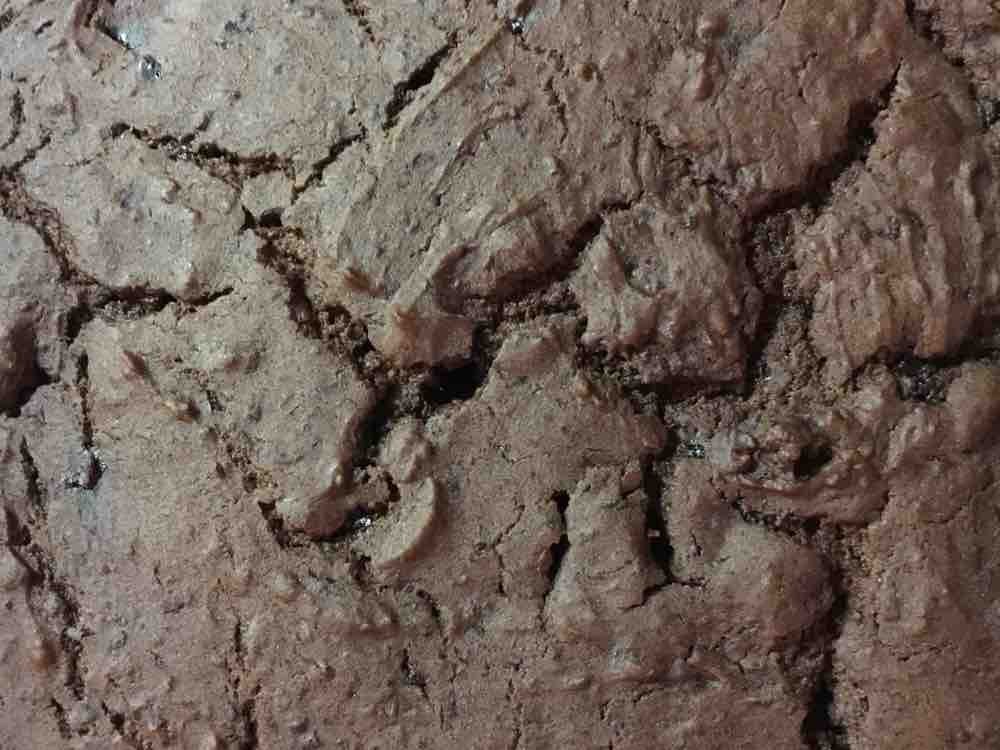 Protein Chocolate brownies, Schoko von Diddl15 | Hochgeladen von: Diddl15