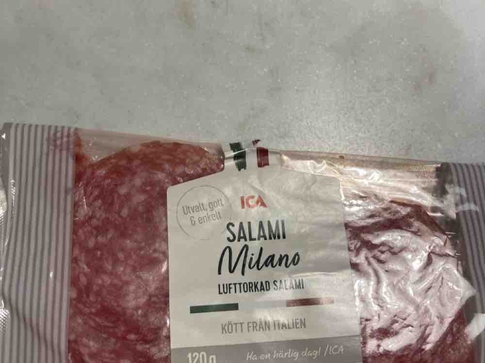 Salami Milano, Lufttorkad Salami von Kretschko | Hochgeladen von: Kretschko