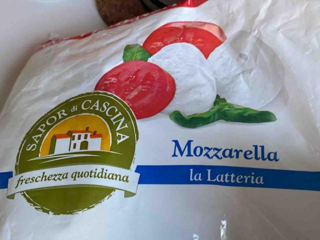 mozzarella la latteria full by anunlapatch | Uploaded by: anunlapatch