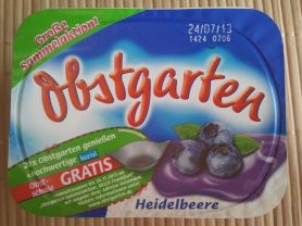 Obstgarten Heidelbeere | Hochgeladen von: Ramona76