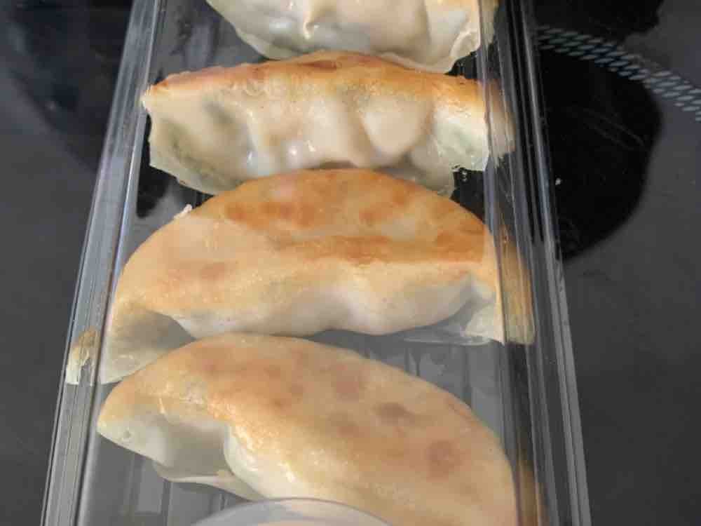 Gyoza Vegan von mindcrack | Hochgeladen von: mindcrack