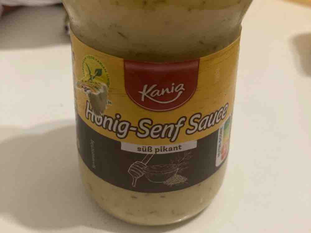 Honig-Senf Sauce von steffenschaffer404 | Hochgeladen von: steffenschaffer404