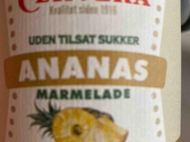 Ananas Marmelade von SvenFaber | Hochgeladen von: SvenFaber