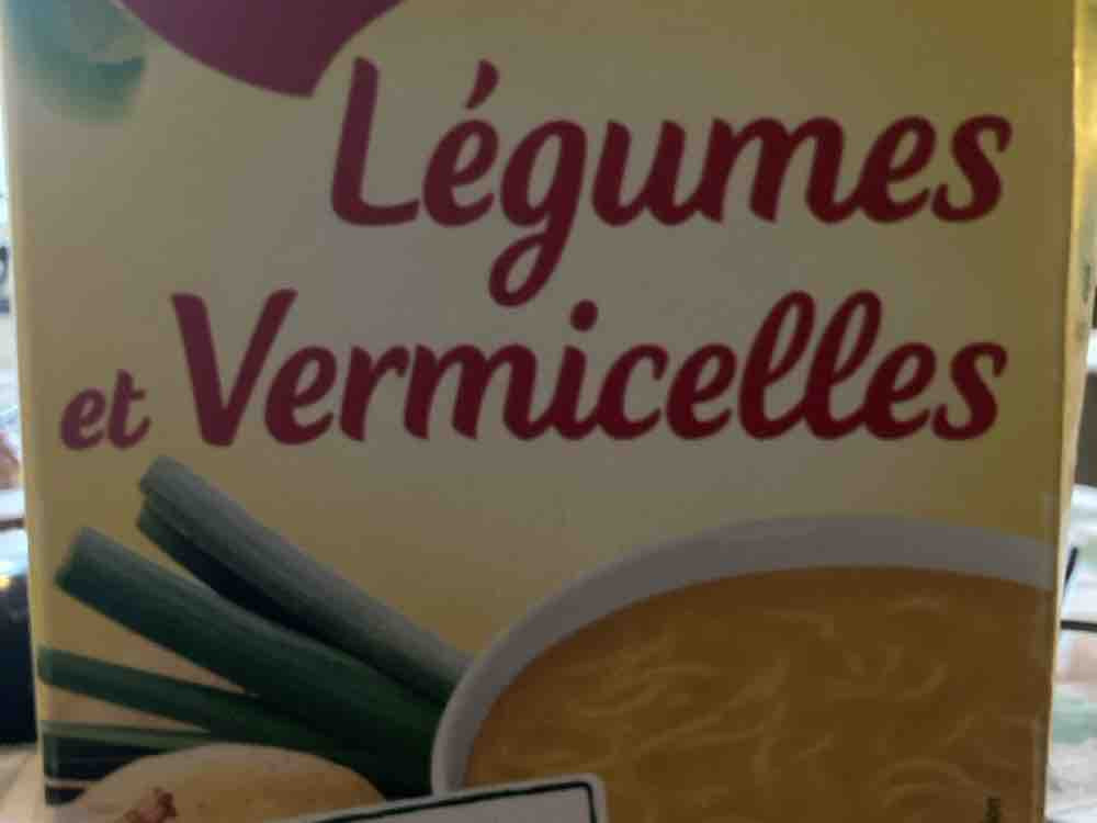Legumes et Vermicelles, Pasta Soup / Gemüsesuppe mit Nudeln von  | Hochgeladen von: gallowhorse